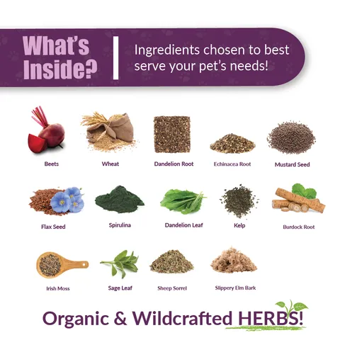Amber Naturalz Radox™ Blood Support | Anemia, Bone Marrow Support | Holistic Healthcare for Dogs and Cats