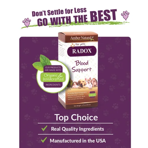 Amber Naturalz Radox™ Blood Support | Anemia, Bone Marrow Support | Holistic Healthcare for Dogs and Cats