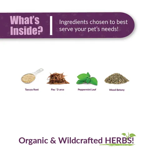 Amber Naturalz Pyntril™ Peaceful Mind | Stress Anxiety Support | Holistic Healthcare for Dogs and Cats