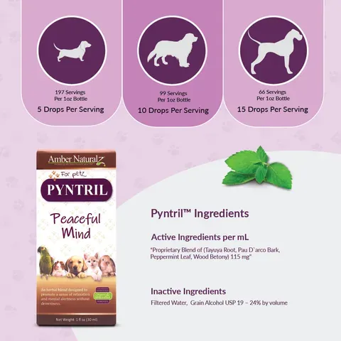Amber Naturalz Pyntril™ Peaceful Mind | Stress Anxiety Support | Holistic Healthcare for Dogs and Cats