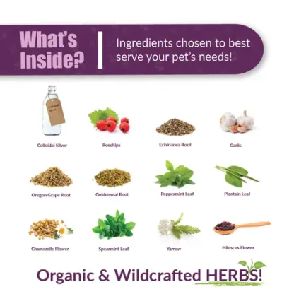 Amber Naturalz Paxaid® Digestive Rescue | Gastroenteritis Diarrhea IBD Support | Holistic Healthcare for Dogs