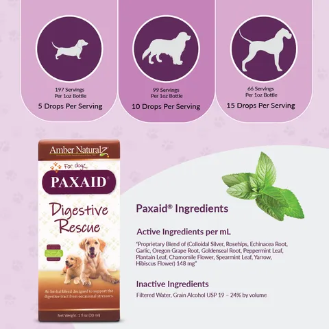 Amber Naturalz Paxaid® Digestive Rescue | Gastroenteritis Diarrhea IBD Support | Holistic Healthcare for Dogs