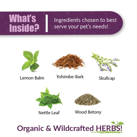 Amber Naturalz DermaNERV™ Nerve Support | Nerve, Seizures, Brain Support | Holistic Healthcare for Dog and Cats