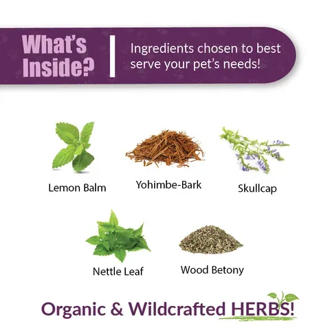 Amber Naturalz DermaNERV™ Nerve Support | Nerve, Seizures, Brain Support | Holistic Healthcare for Dog and Cats