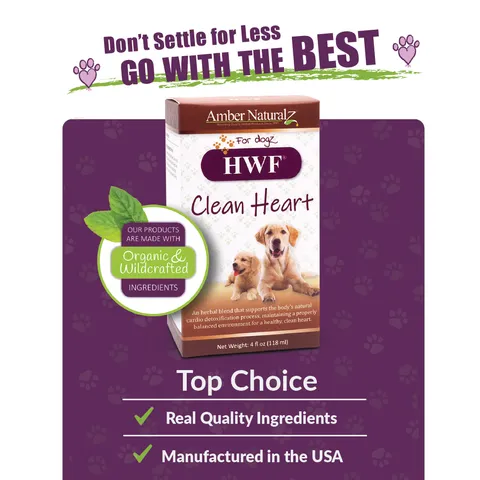 Amber Naturalz HWF® Clean Heart | Heartworm Support | Holistic Healthcare for Dogs