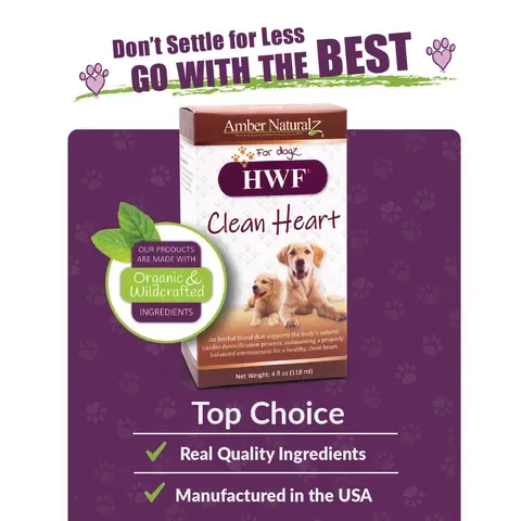 Amber Naturalz HWF® Clean Heart | Heartworm Support | Holistic Healthcare for Dogs