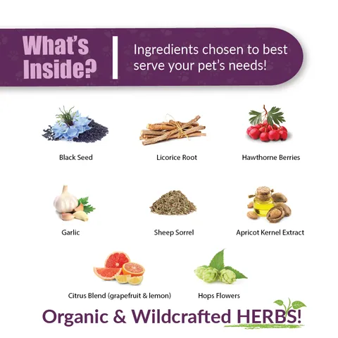Amber Naturalz HWF® Clean Heart | Heartworm Support | Holistic Healthcare for Dogs