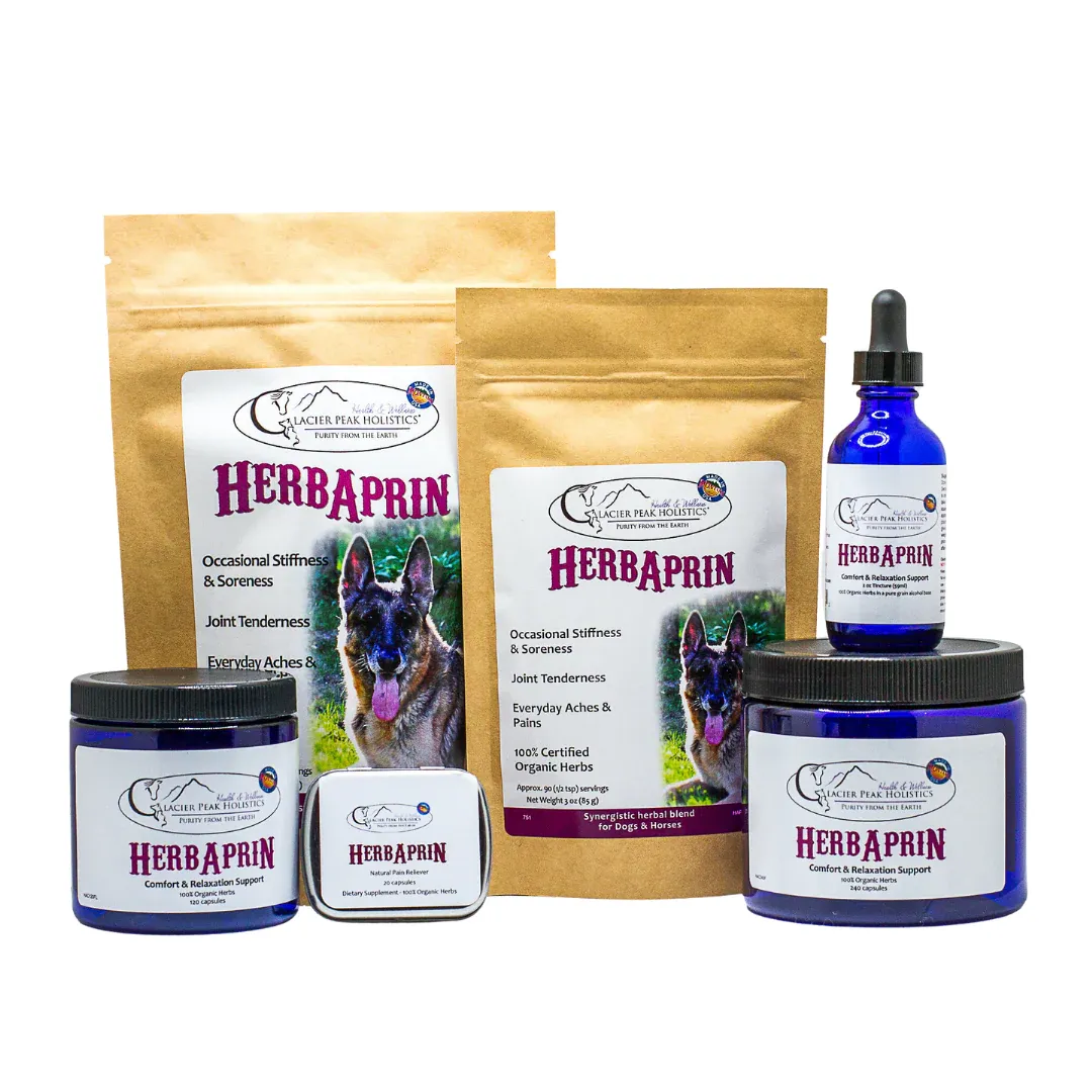 Glacier Peak HerbAprin for Dogs | Pain Anti-Inflammatory IVDD Joint Rest Support | Holistic Healthcare for Dogs