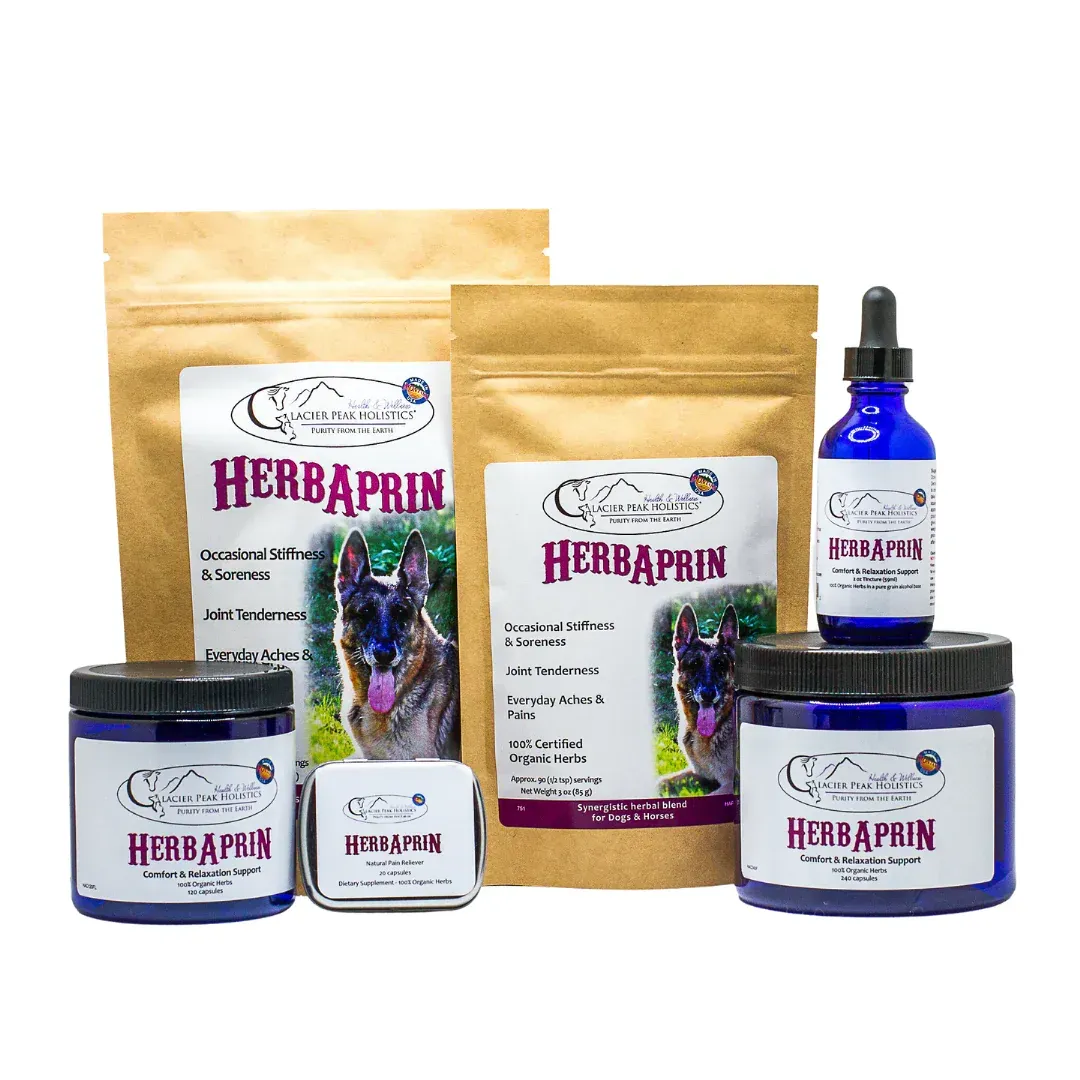 Glacier Peak HerbAprin for Dogs | Pain Anti-Inflammatory IVDD Joint Rest Support | Holistic Healthcare for Dogs