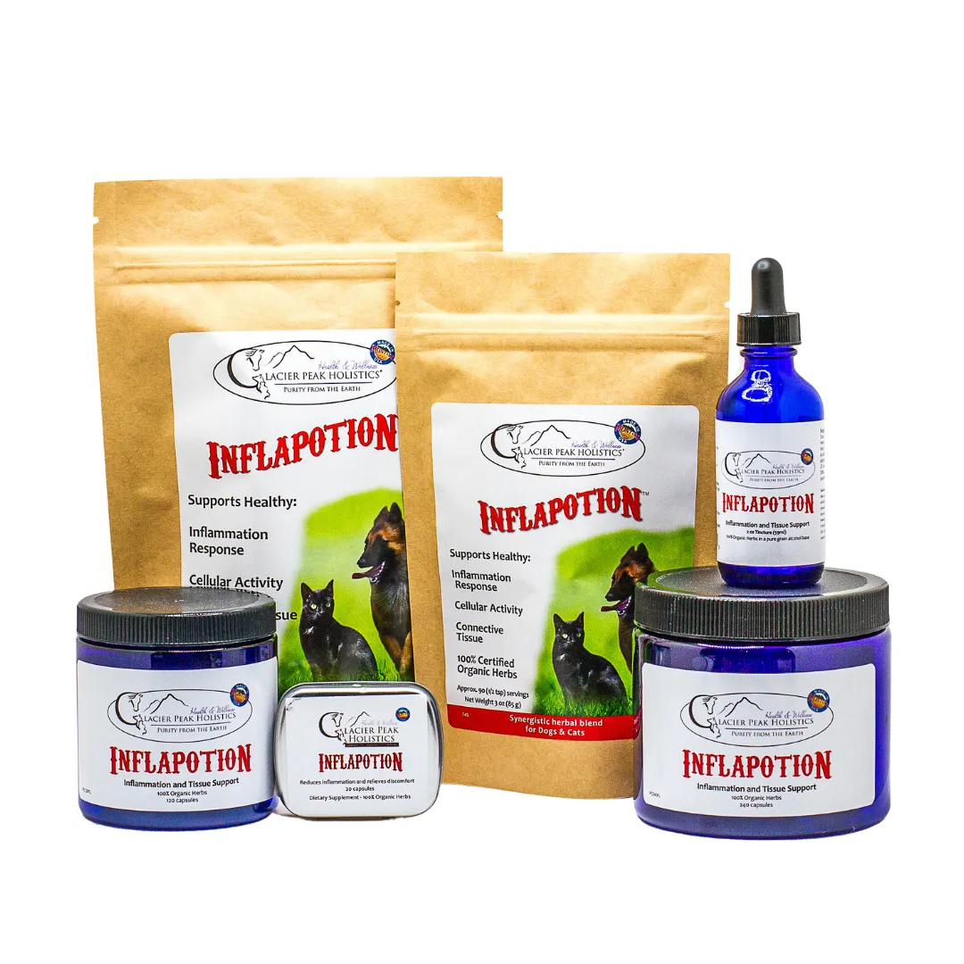Glacier Peak Inflapotion | Pain Anti-Inflammatory IVDD Joint Support | Holistic Healthcare for Dogs & Cats