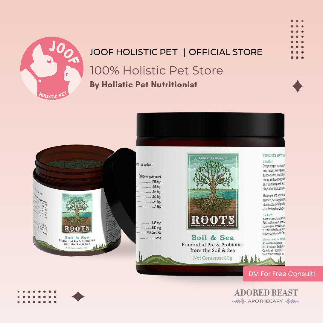 Adored Beast Soil and Sea (40g & 80g) Gut Repair Leaky Gut Mineral Support for Dogs and Cats