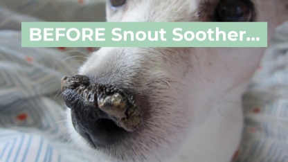 Natural Dog Company Snout Soother (Tin) | Snout Healing Balm | Natural Dog Grooming Essentials