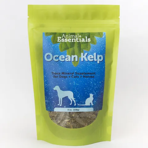 Animal Essentials Organic Ocean Kelp (8oz) | Thyroid Iodine Skin Antioxidant Immune Support | Holistic Healthcare for Dogs and Cats