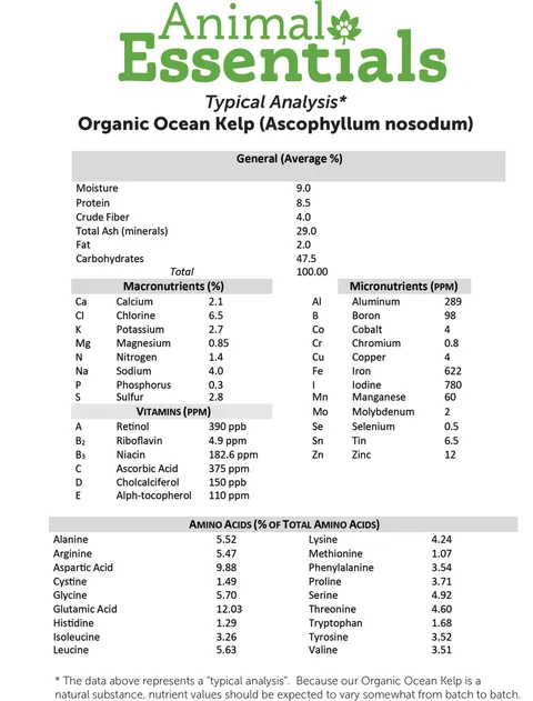Animal Essentials Organic Ocean Kelp (8oz) | Thyroid Iodine Skin Antioxidant Immune Support | Holistic Healthcare for Dogs and Cats