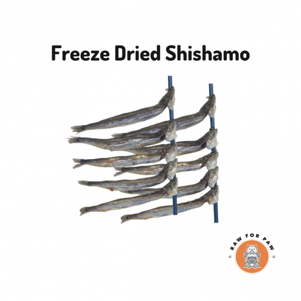 Raw for Paw Freeze Dried Shishamo 8pc | Freeze-Dried Treats Whole Food Toppers For Dogs and Cats | Premium Pet Treats