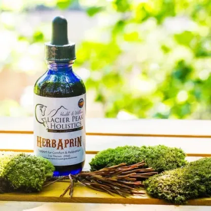 Glacier Peak HerbAprin for Dogs | Pain Anti-Inflammatory IVDD Joint Rest Support | Holistic Healthcare for Dogs