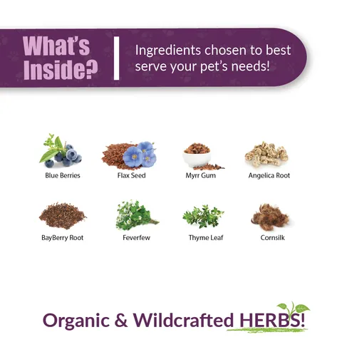 Amber Naturalz Pets C&C™ Sinus Support | Sinuses, Bronchial, Respiratory Support | Holistic Healthcare for Dogs and Cats