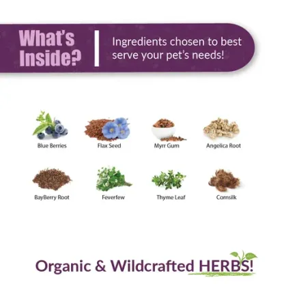 Amber Naturalz Pets C&C™ Sinus Support | Sinuses, Bronchial, Respiratory Support | Holistic Healthcare for Dogs and Cats