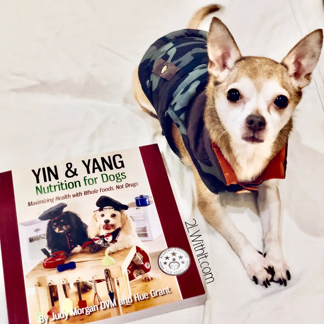 Dr Judy Morgan Book - Yin and Yang Nutrition for Dogs : Maximizing Health with Whole Foods, Not Drugs | Pet Nutrition Support Book