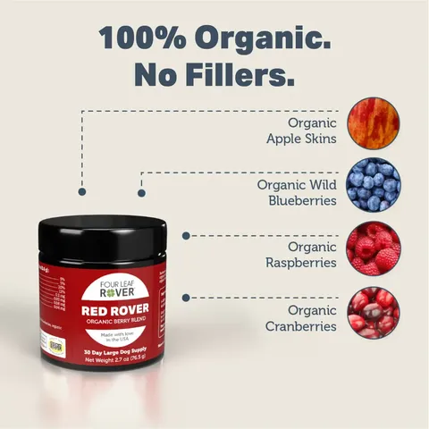 Four Leaf Rover Red Rover | Antioxidant Gut Immune Support | Holistic Healthcare for Dogs