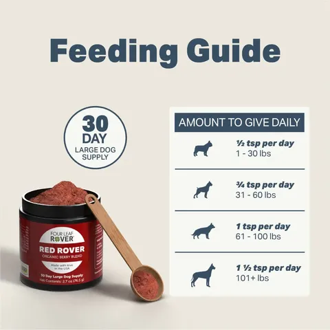 Four Leaf Rover Red Rover | Antioxidant Gut Immune Support | Holistic Healthcare for Dogs