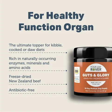 Four Leaf Rover Guts & Glory | Glandular Support | Holistic Healthcare for Dogs