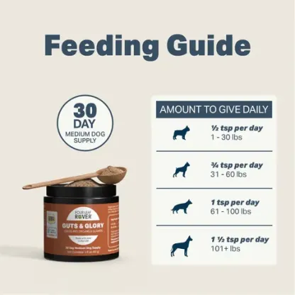 Four Leaf Rover Guts & Glory | Glandular Support | Holistic Healthcare for Dogs