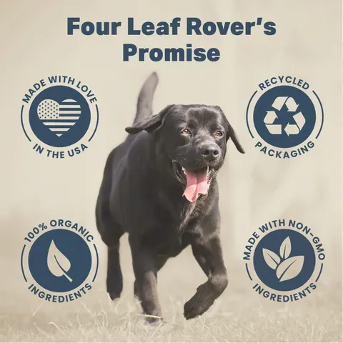 Four Leaf Rover Red Rover | Antioxidant Gut Immune Support | Holistic Healthcare for Dogs