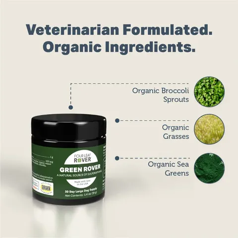 Four Leaf Rover Green Rover | Antioxidant Gut Immune Support | Holistic Healthcare for Dogs