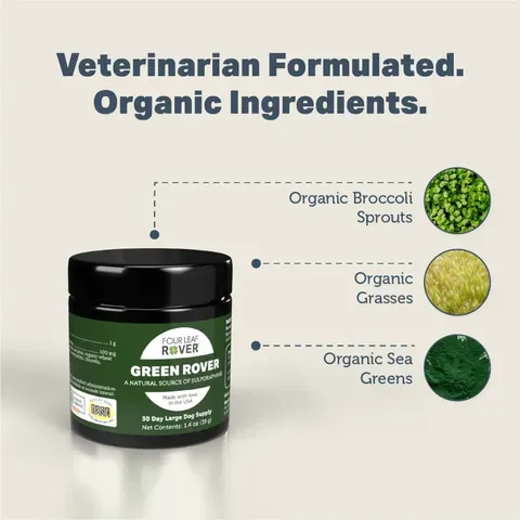 Four Leaf Rover Green Rover | Antioxidant Gut Immune Support | Holistic Healthcare for Dogs