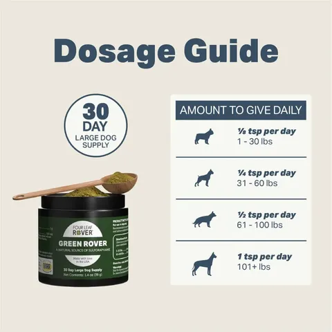 Four Leaf Rover Green Rover | Antioxidant Gut Immune Support | Holistic Healthcare for Dogs