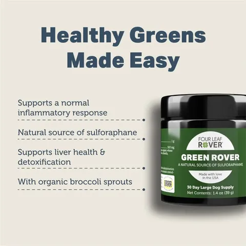 Four Leaf Rover Green Rover | Antioxidant Gut Immune Support | Holistic Healthcare for Dogs