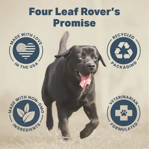 Four Leaf Rover Liver Kidney Clean | Liver Kidney Function Support | Holistic Healthcare for Dogs