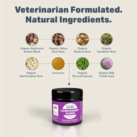 Four Leaf Rover Liver Kidney Clean | Liver Kidney Function Support | Holistic Healthcare for Dogs
