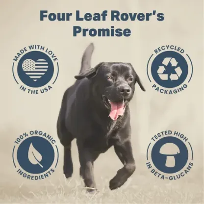 Four Leaf Rover Seven Shrooms | Cancer Immune Support | Holistic Healthcare for Dogs