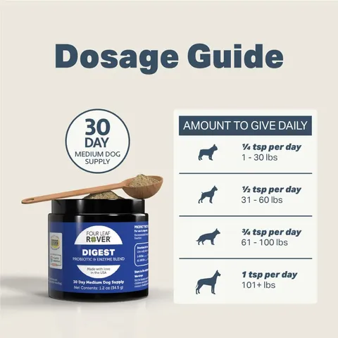 Four Leaf Rover Digest | Digestive Pancreatitis Support + Soil Based Probiotics | Holistic Healthcare for Dogs