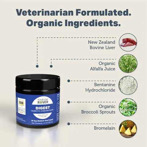 Four Leaf Rover Digest | Digestive Pancreatitis Support + Soil Based Probiotics | Holistic Healthcare for Dogs
