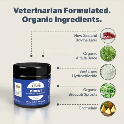 Four Leaf Rover Digest | Digestive Pancreatitis Support + Soil Based Probiotics | Holistic Healthcare for Dogs