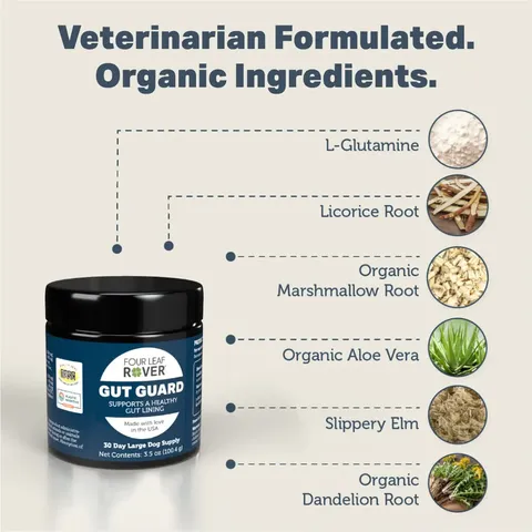 Four Leaf Rover Gut Guard | Soil Based Probiotics Diarrhea IBD Gut Support | Holistic Healthcare for Dogs