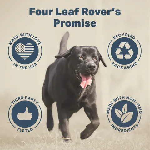 Four Leaf Rover Saccharomyces Boulardii | Yeast-Based Probiotics Diarrhea Support | Holistic Health for Dogs