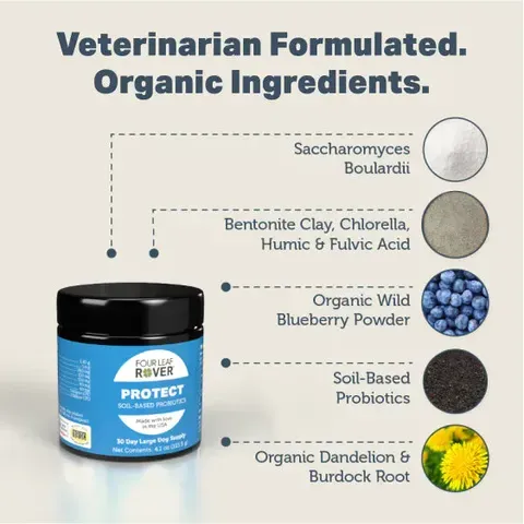 Four Leaf Rover Protect | Soil Based Probiotics + Prebiotics | Holistic Healthcare for Dogs