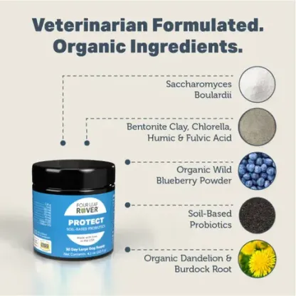 Four Leaf Rover Protect | Soil Based Probiotics + Prebiotics | Holistic Healthcare for Dogs