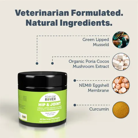 Four Leaf Rover Hip & Joint | Joint Health Support | Holistic Healthcare for Dogs