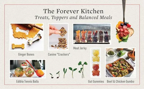 Dr Karen Becker & Rodney Habib Book - The Forever Dog Life (Hard Cover) : 120+ Recipe Longevity Tips and New Science for Better Bowls and Healthier Homes | Pet Natural Care & Health Support Book