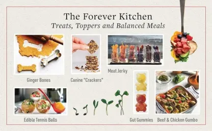 Dr Karen Becker & Rodney Habib Book - The Forever Dog Life (Hard Cover) : 120+ Recipe Longevity Tips and New Science for Better Bowls and Healthier Homes | Pet Natural Care & Health Support Book