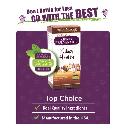 Amber Naturalz Kidney Rejuvenator™ | Kidney & Urinary Support | Holistic Healthcare for Dogs and Cats