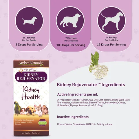 Amber Naturalz Kidney Rejuvenator™ | Kidney & Urinary Support | Holistic Healthcare for Dogs and Cats
