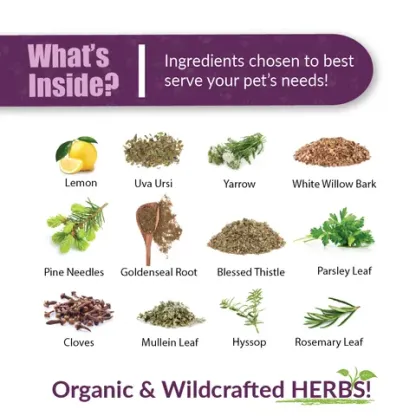 Amber Naturalz Kidney Rejuvenator™ | Kidney & Urinary Support | Holistic Healthcare for Dogs and Cats