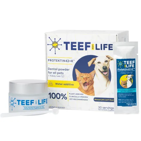 TEEF for Life Protektin42+K Dental Kit | Prebiotic Dental Powder for ALL pets (Sodium-free) | Holistic Healthcare for Dogs and Cats