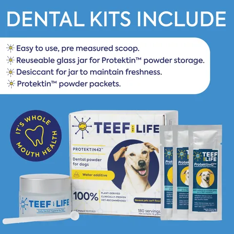 TEEF for Life Protektin42+K Dental Kit | Prebiotic Dental Powder for ALL pets (Sodium-free) | Holistic Healthcare for Dogs and Cats